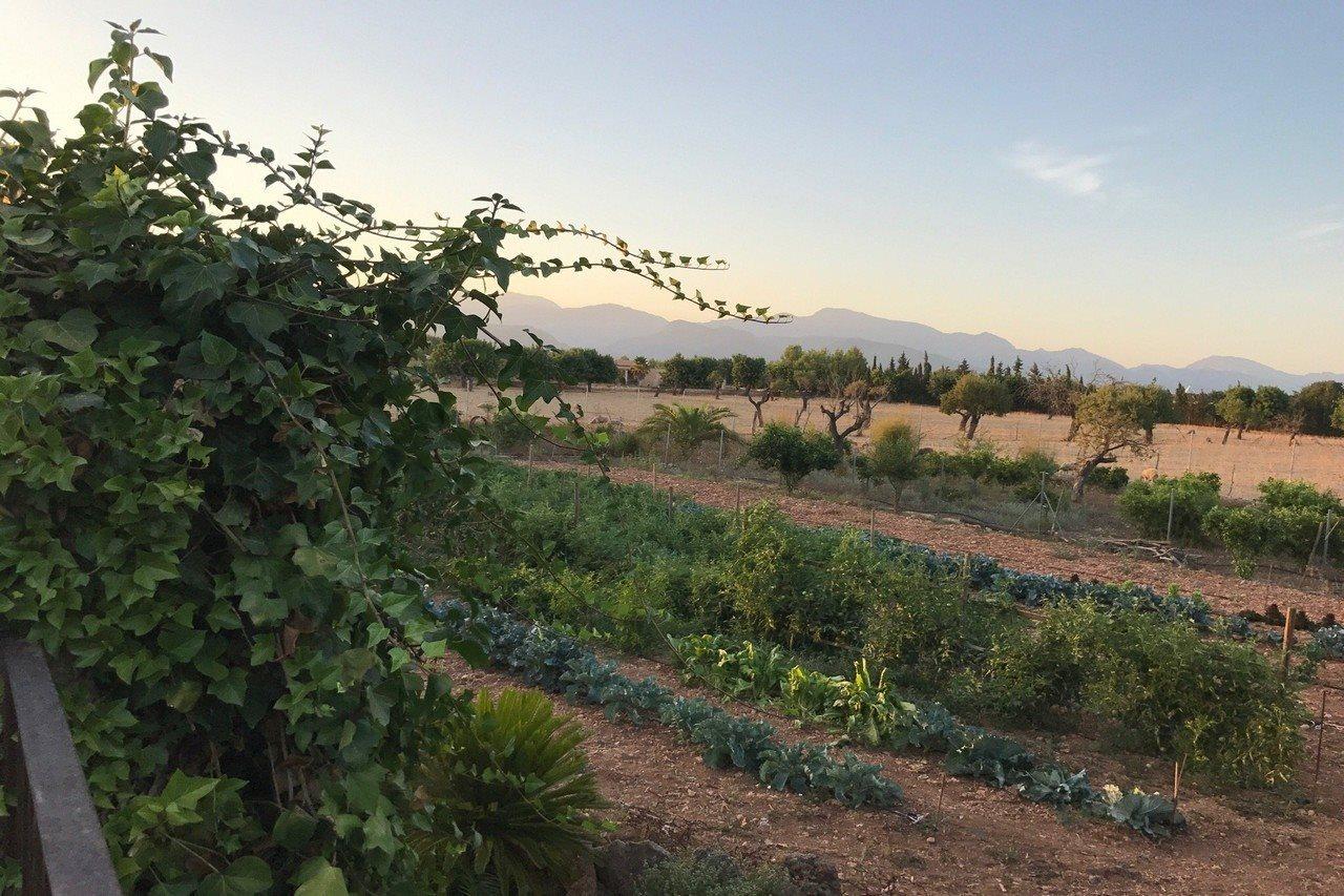 Agroturismo Es Quatre Cantons Binisalem Exterior foto