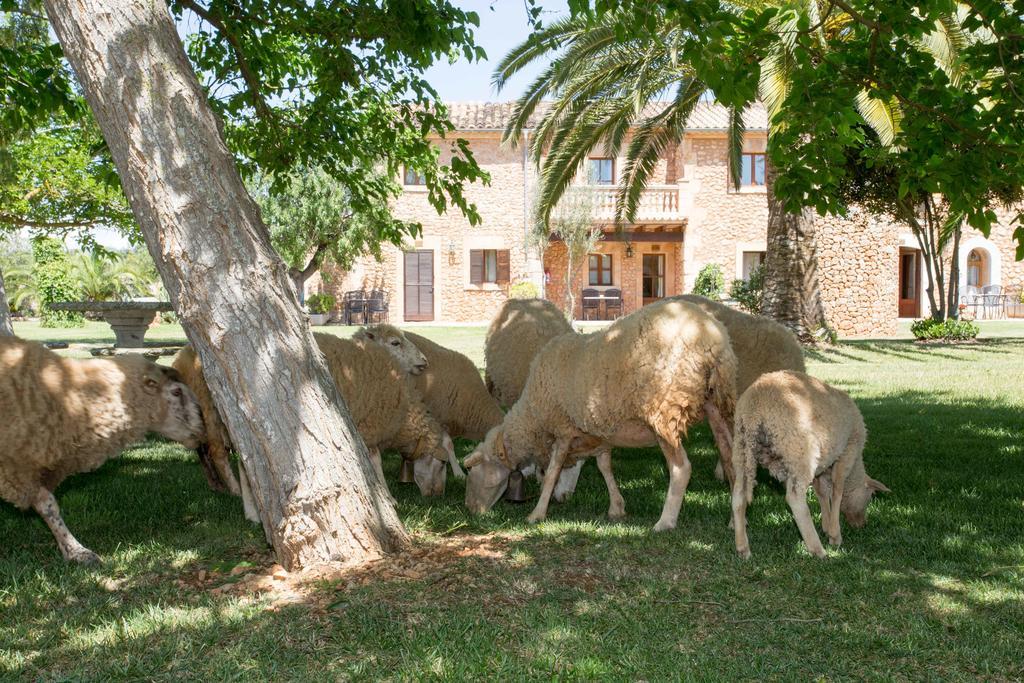 Agroturismo Es Quatre Cantons Binisalem Exterior foto